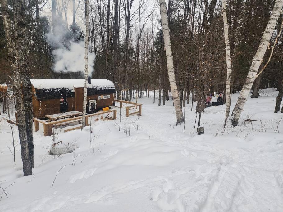 Dingle Run Lodge At Sir Sam'S Haliburton Exterior photo